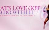 Whats Love Got To Do With It - The Ultimate Tina Turner Tribute